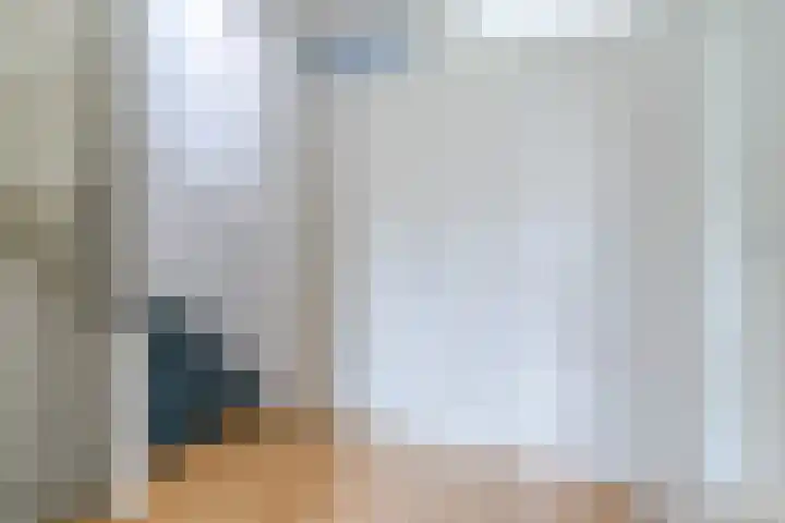 Paladijnstraat 23 Geldrop thumbnail 19