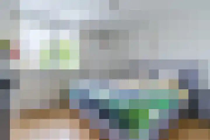 Paladijnstraat 23 Geldrop thumbnail 20