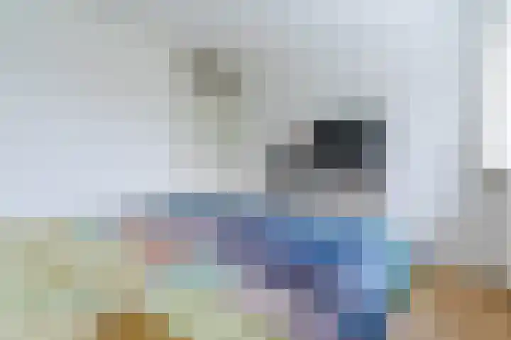 Paladijnstraat 23 Geldrop thumbnail 21