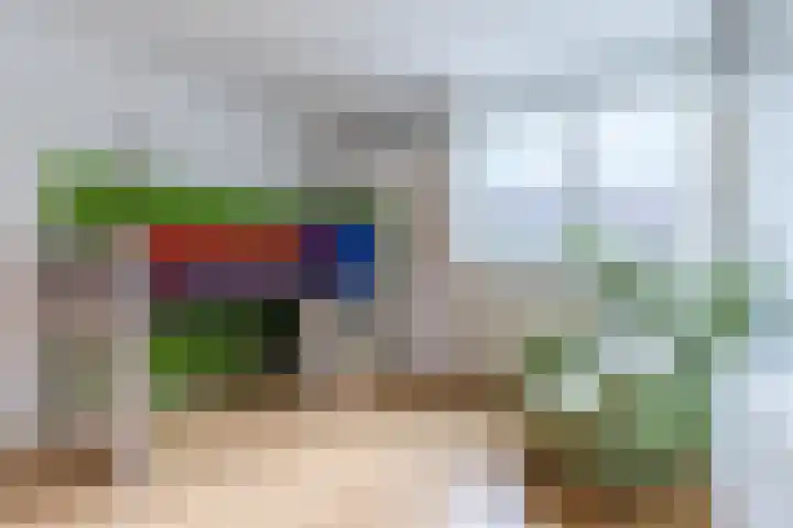 Paladijnstraat 23 Geldrop thumbnail 22