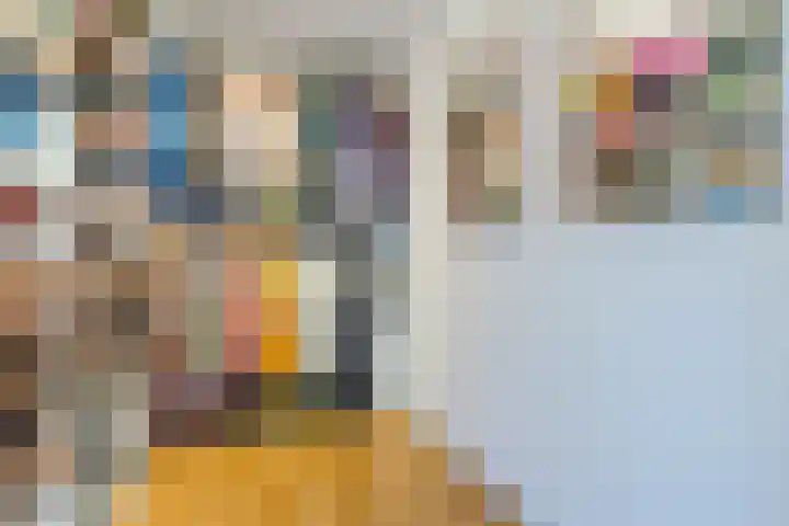 Paladijnstraat 23 Geldrop thumbnail 26