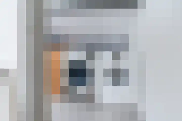Paladijnstraat 23 Geldrop thumbnail 34