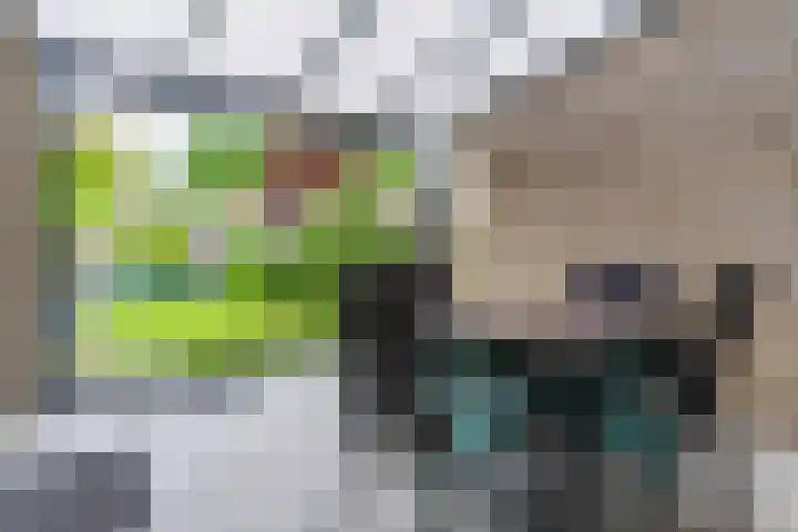 Paladijnstraat 23 Geldrop thumbnail 35