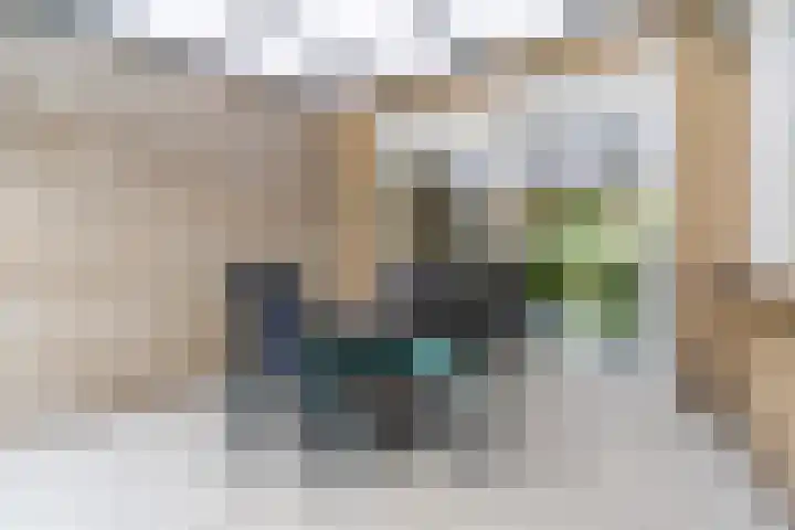Paladijnstraat 23 Geldrop thumbnail 36