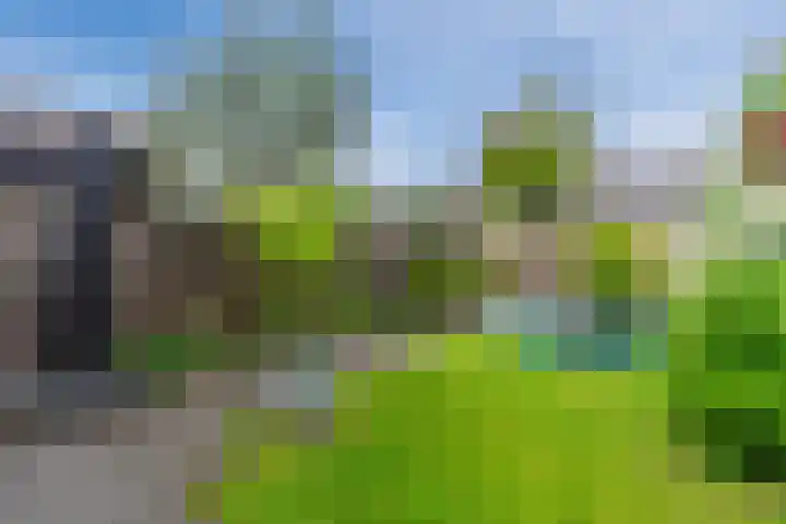Paladijnstraat 23 Geldrop thumbnail 38
