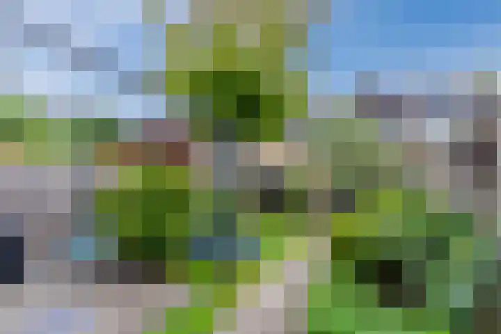 Paladijnstraat 23 Geldrop thumbnail 41