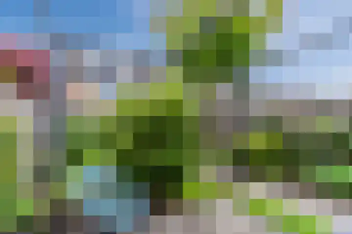 Paladijnstraat 23 Geldrop thumbnail 43