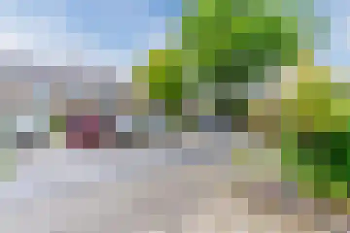 Paladijnstraat 23 Geldrop thumbnail 46