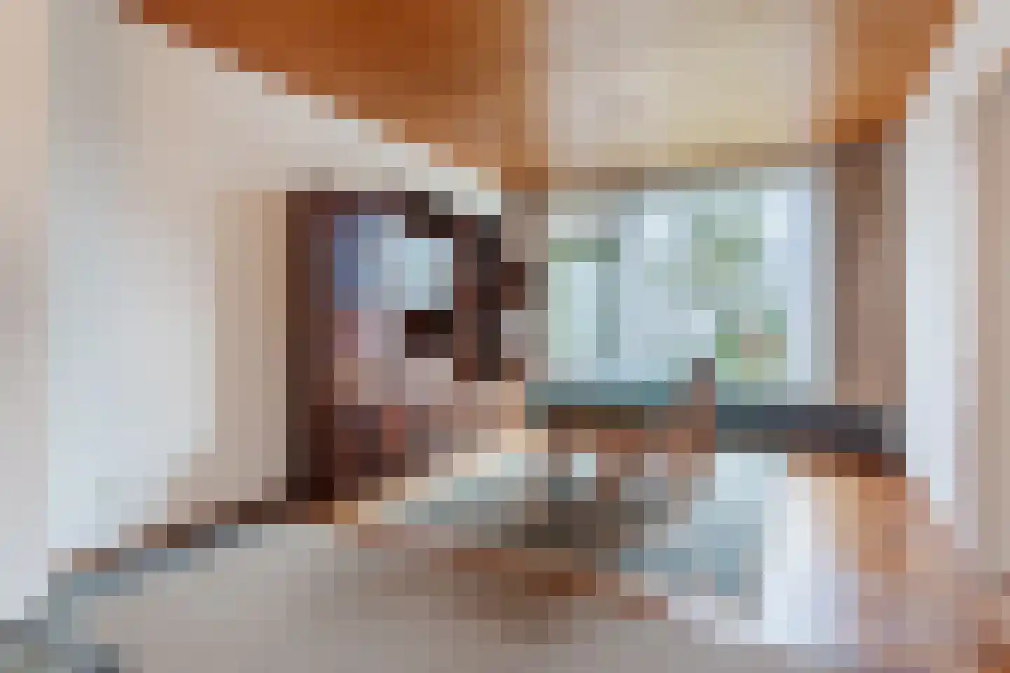 Paladijnstraat 24 Geldrop thumbnail 10