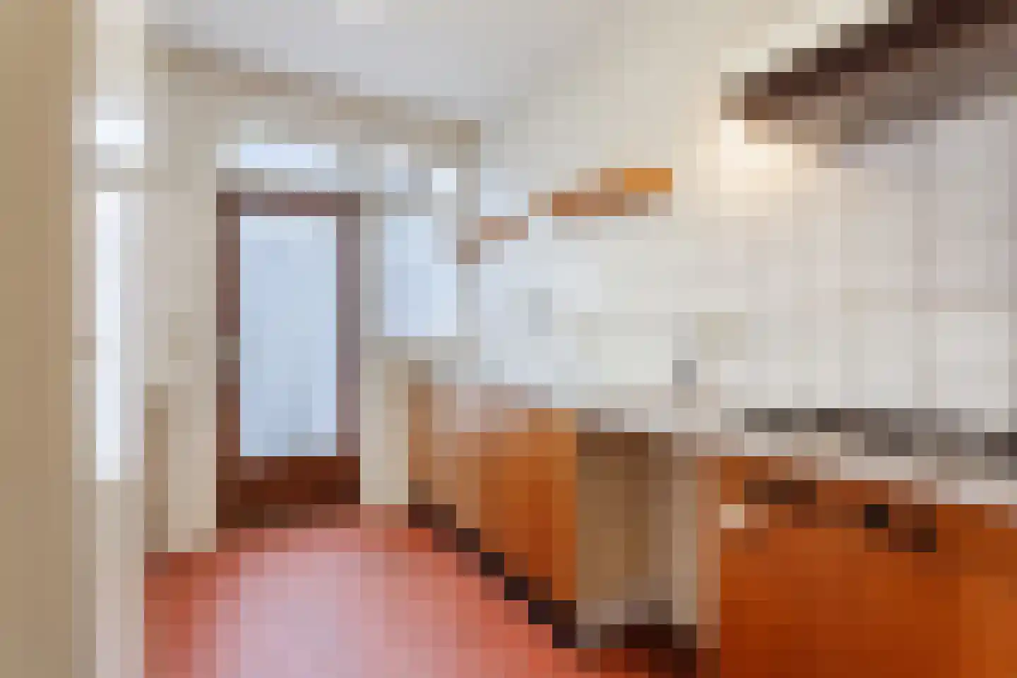 Paladijnstraat 24 Geldrop thumbnail 13
