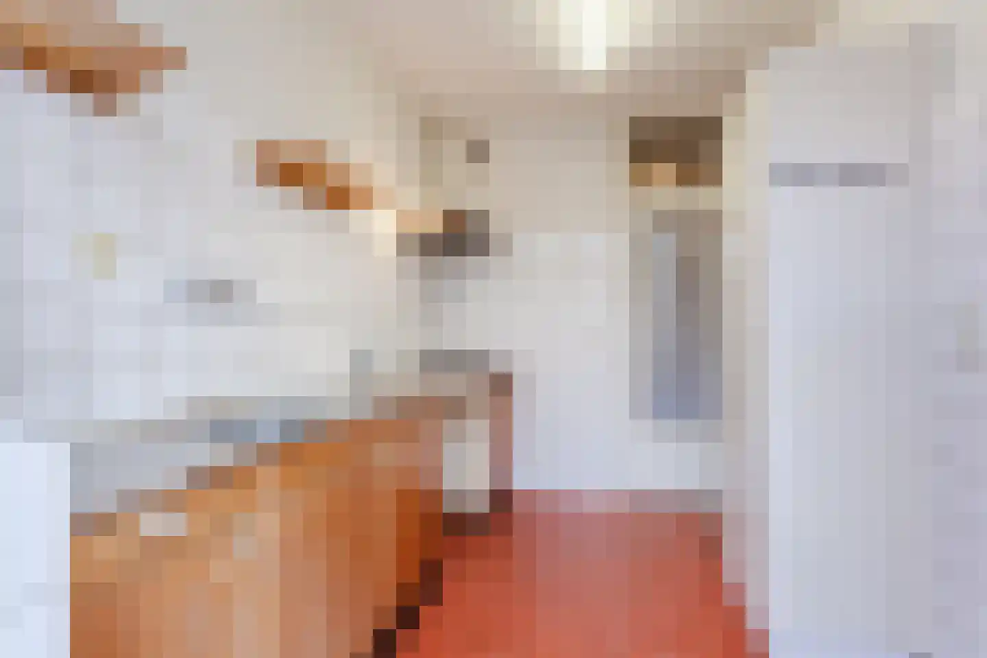 Paladijnstraat 24 Geldrop thumbnail 14
