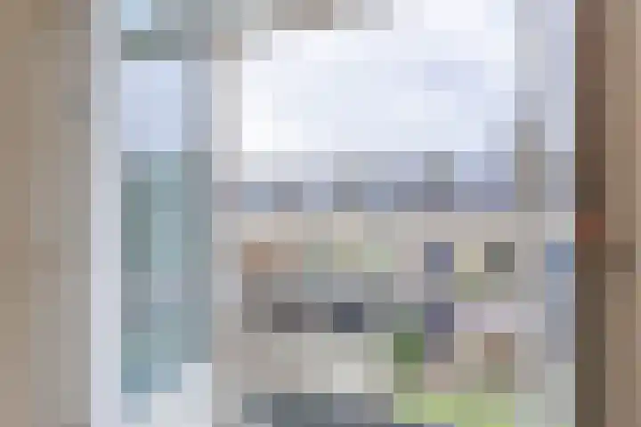 Paladijnstraat 24 Geldrop thumbnail 17