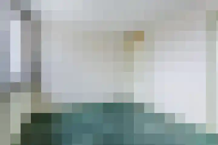 Paladijnstraat 24 Geldrop thumbnail 21