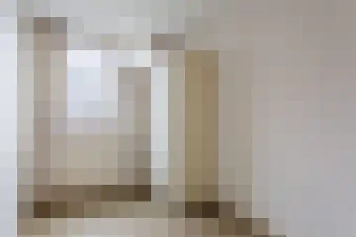 Paladijnstraat 24 Geldrop thumbnail 22