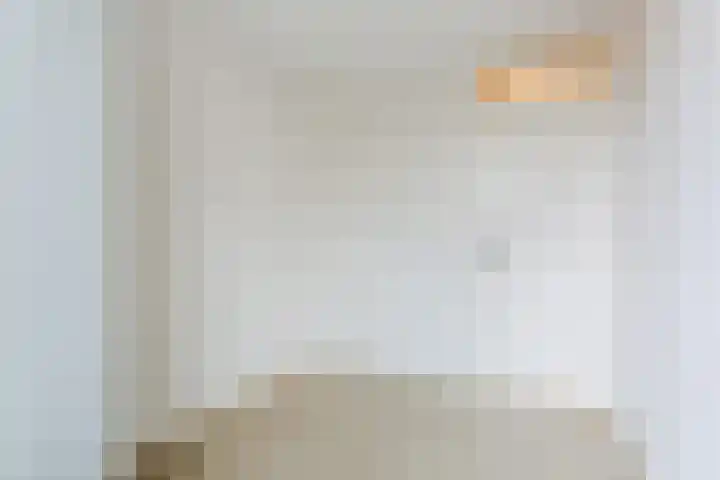 Paladijnstraat 24 Geldrop thumbnail 23