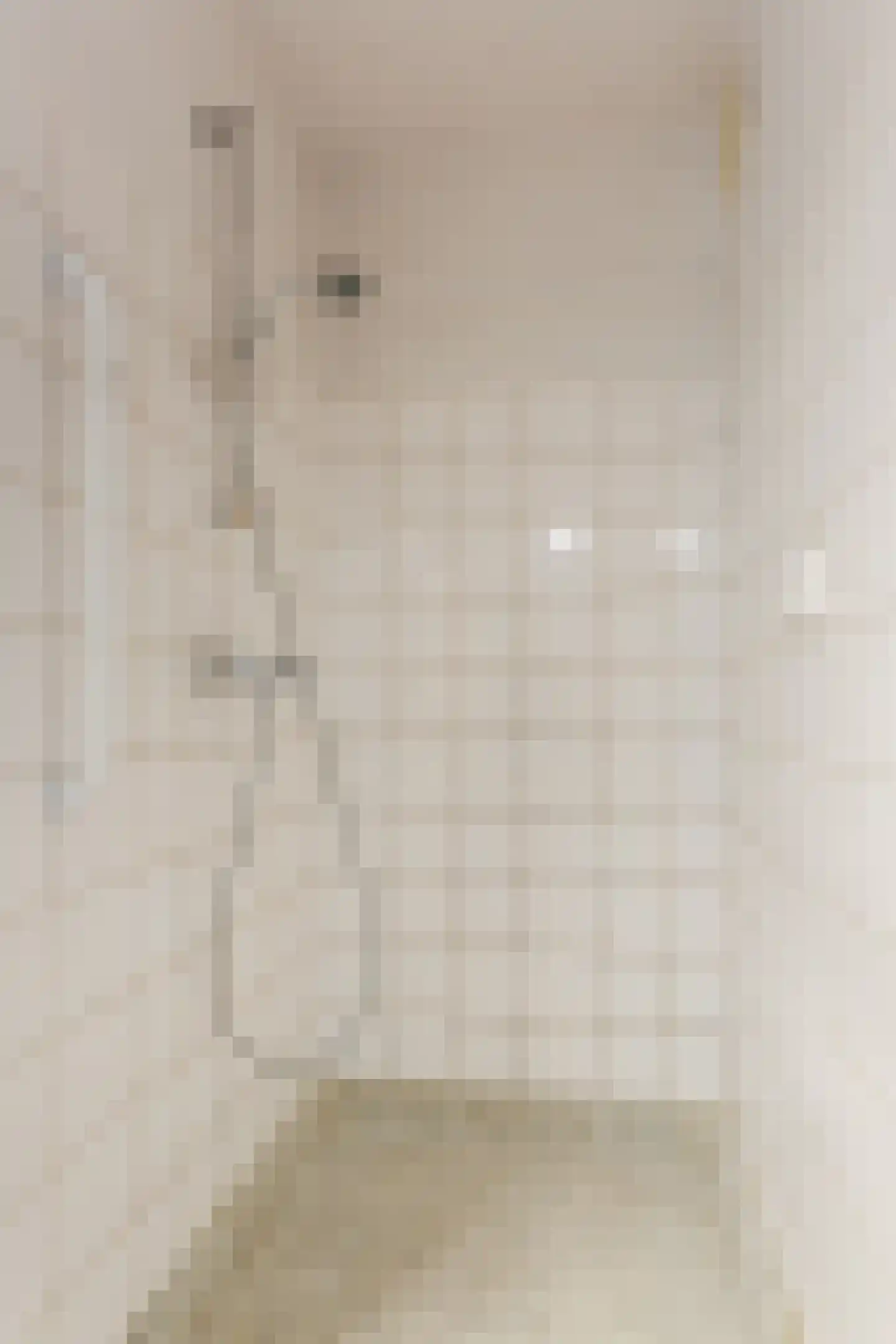 Paladijnstraat 24 Geldrop thumbnail 28