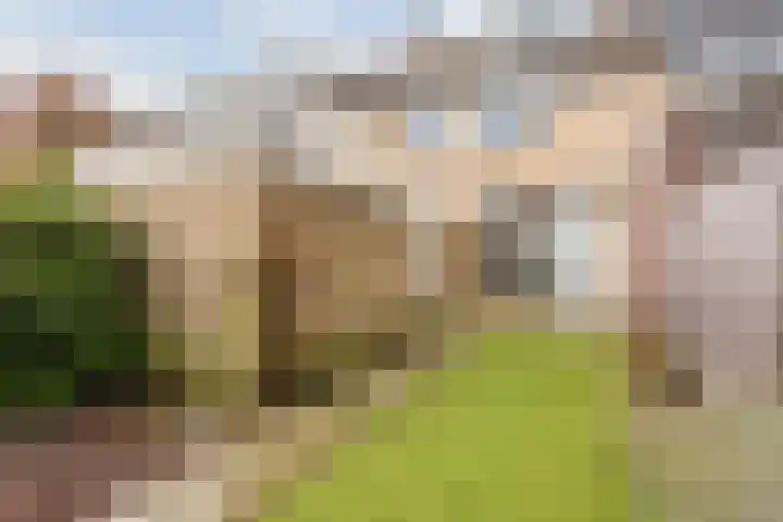 Paladijnstraat 24 Geldrop thumbnail 35