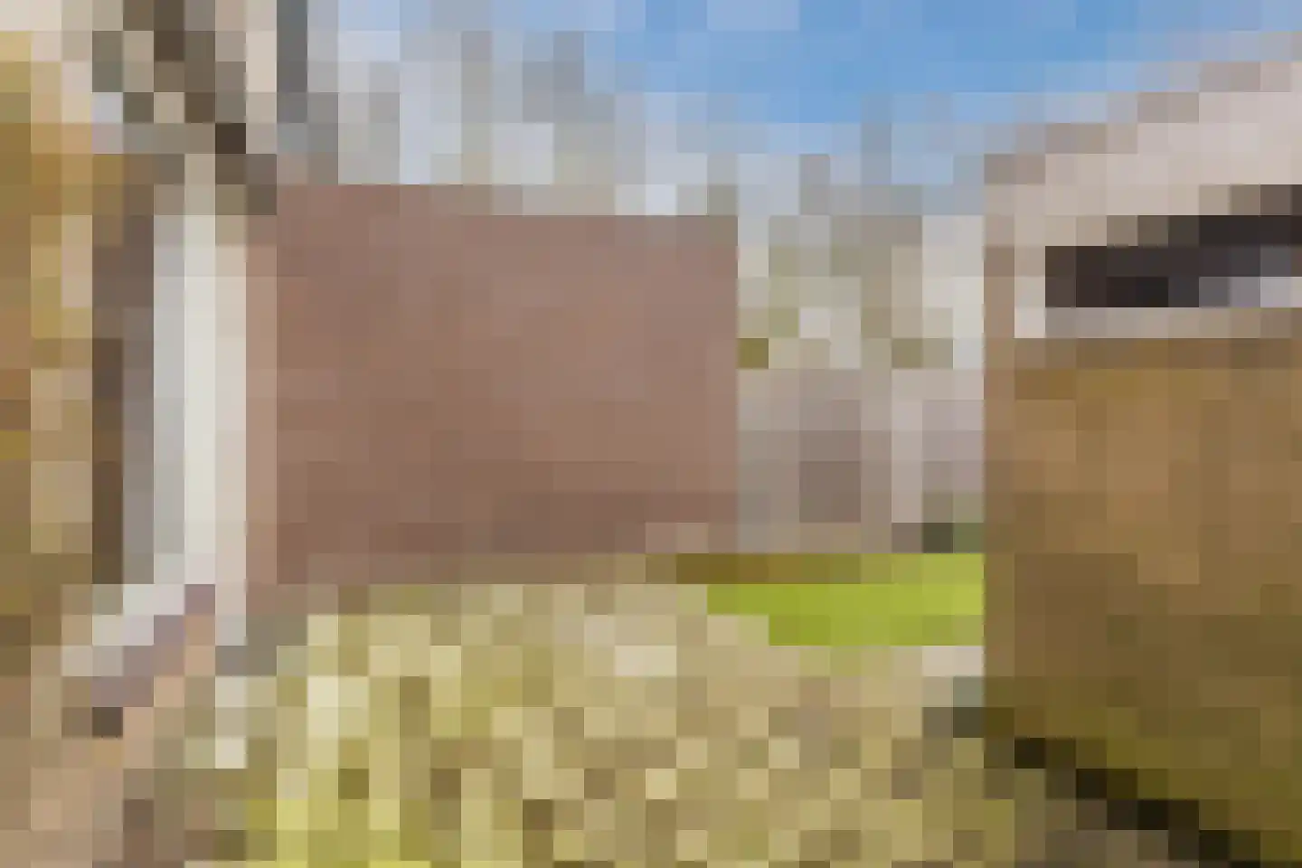 Paladijnstraat 24 Geldrop thumbnail 38