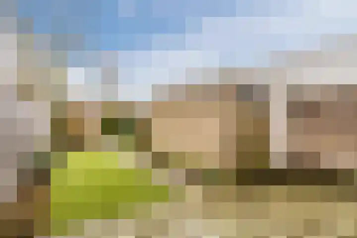 Paladijnstraat 24 Geldrop thumbnail 39