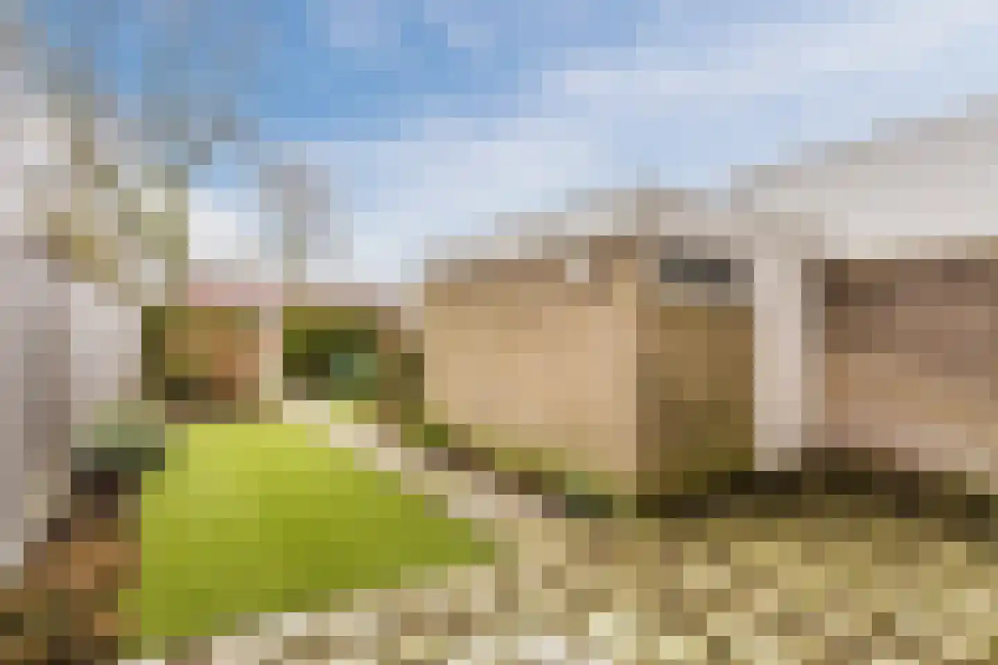 Paladijnstraat 24 Geldrop thumbnail 39