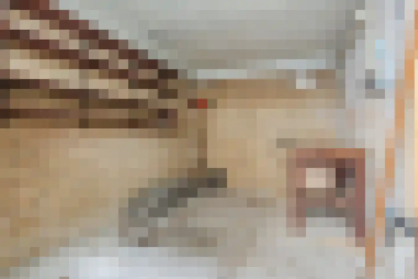Paladijnstraat 24 Geldrop thumbnail 45
