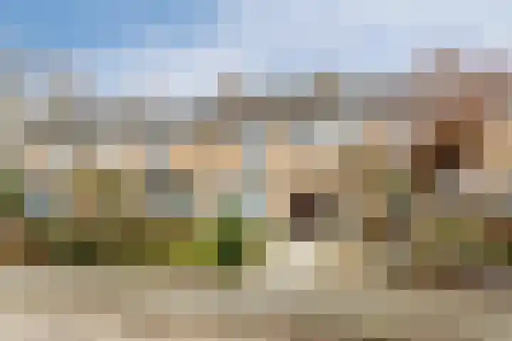 Paladijnstraat 24 Geldrop thumbnail 46