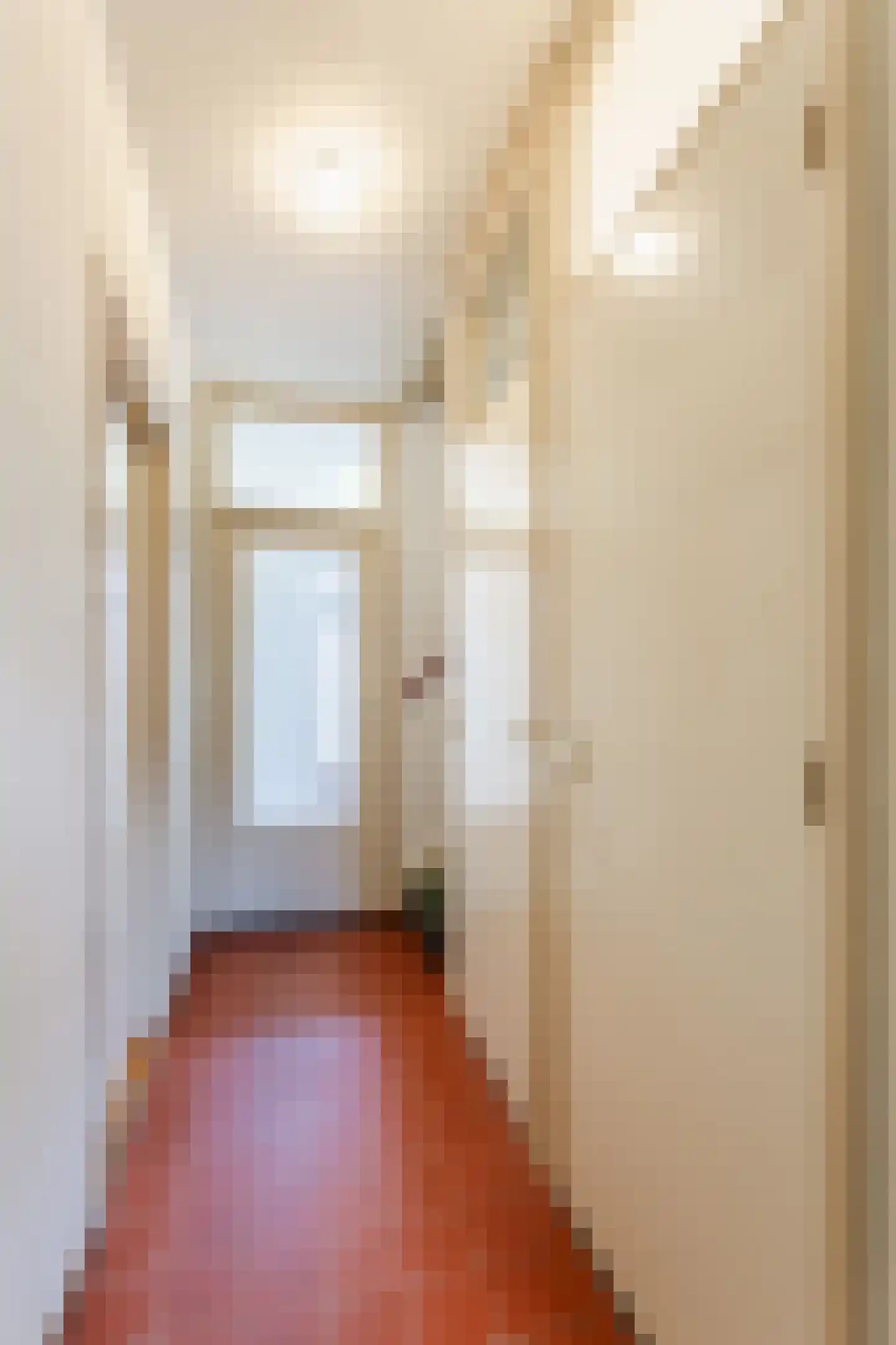 Paladijnstraat 24 Geldrop thumbnail 5