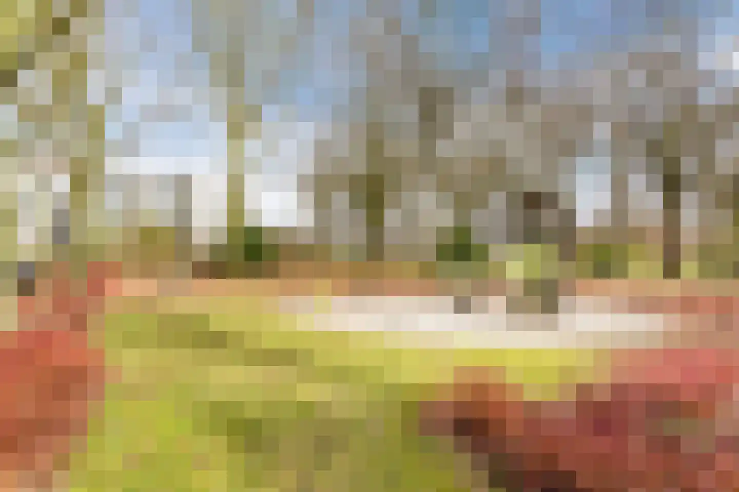 Paladijnstraat 24 Geldrop thumbnail 52