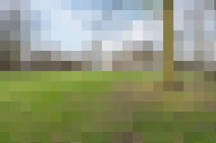 Paladijnstraat 24 Geldrop thumbnail 54