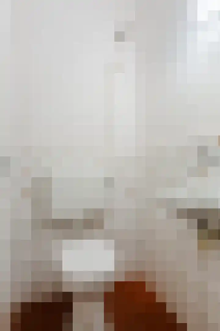Paladijnstraat 24 Geldrop thumbnail 6