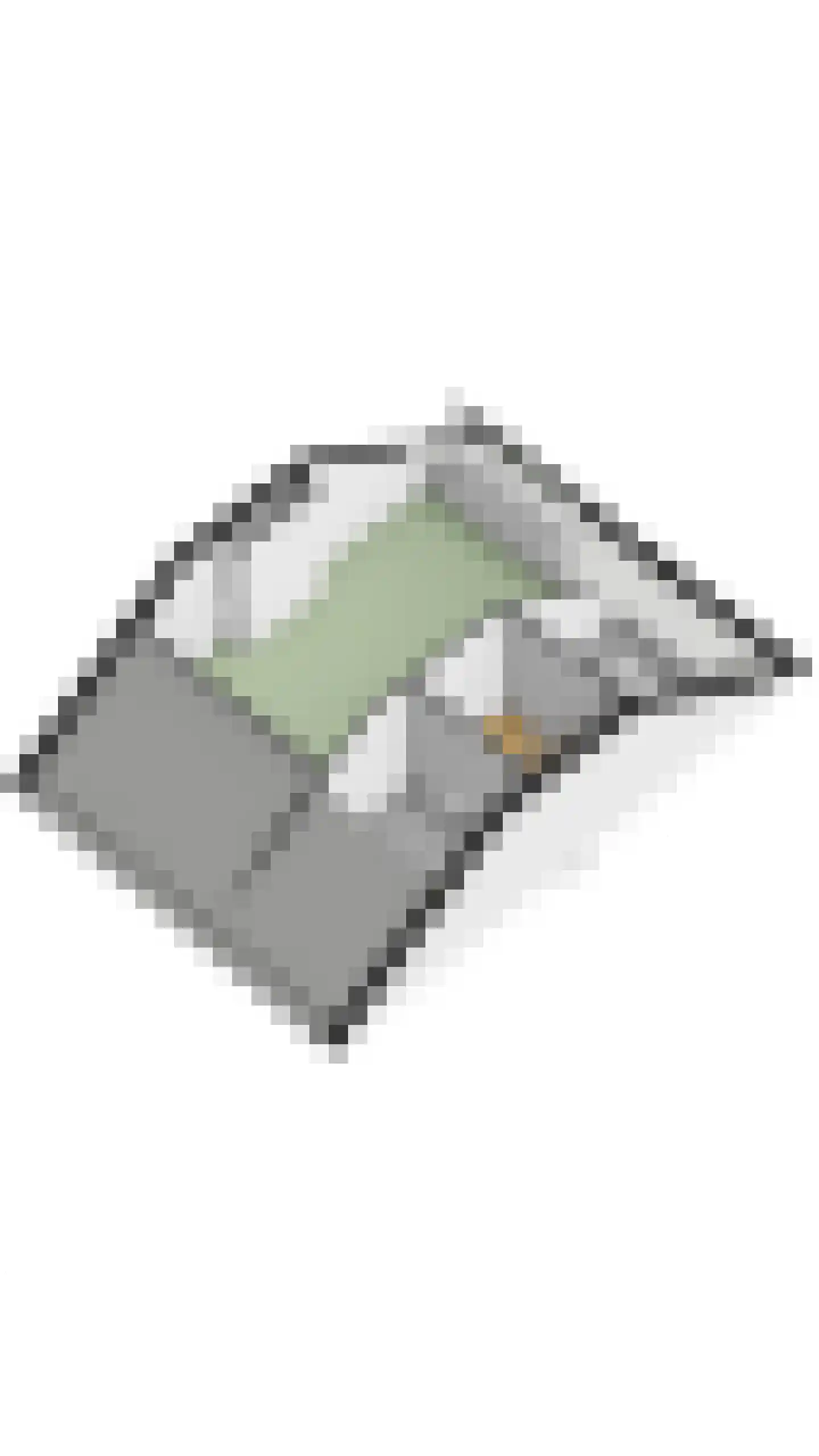 Paladijnstraat 24 Geldrop thumbnail 61