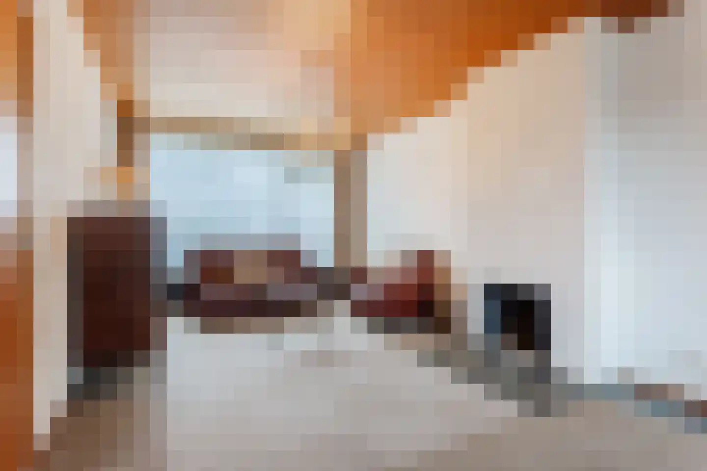 Paladijnstraat 24 Geldrop thumbnail 7