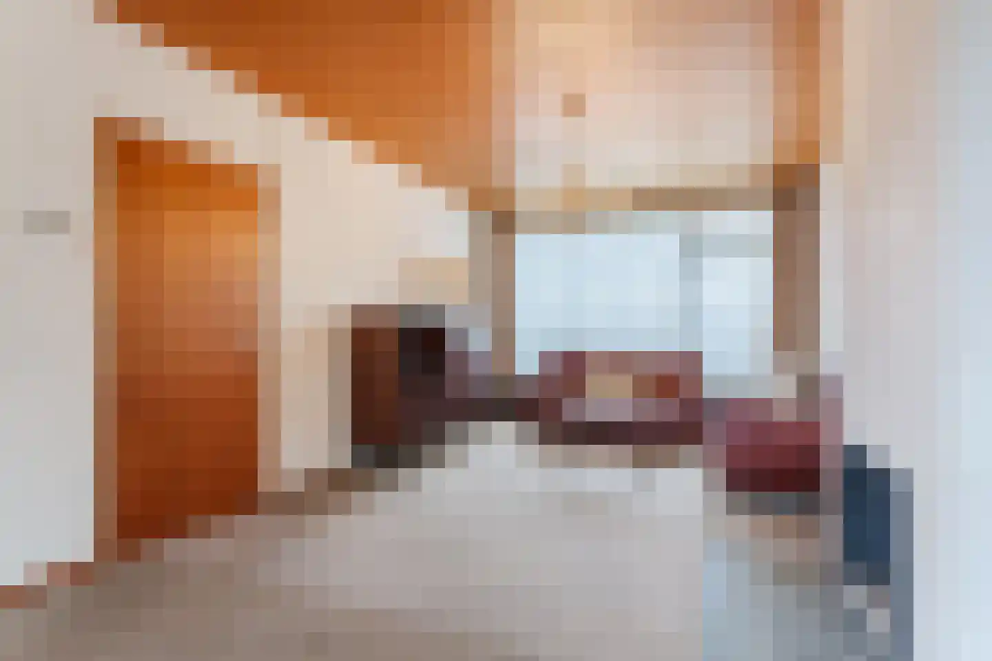 Paladijnstraat 24 Geldrop thumbnail 8