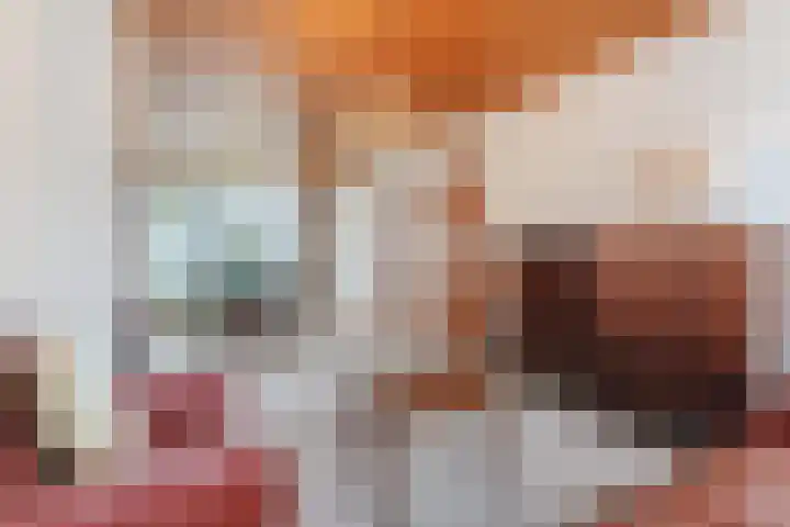 Paladijnstraat 24 Geldrop thumbnail 9