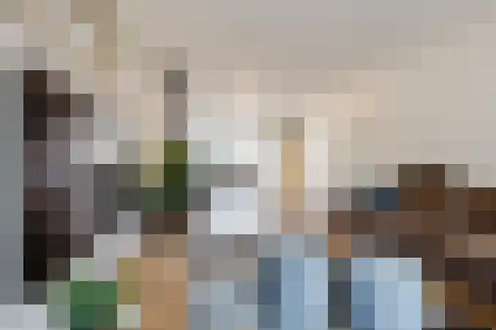 Paladijnstraat 25 Geldrop thumbnail 12