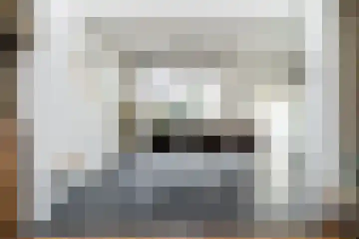 Paladijnstraat 25 Geldrop thumbnail 14