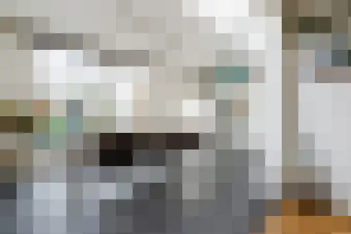 Paladijnstraat 25 Geldrop thumbnail 15