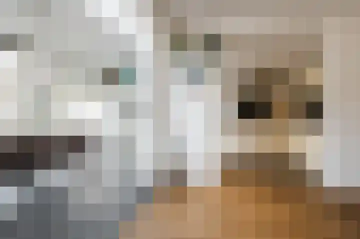 Paladijnstraat 25 Geldrop thumbnail 16
