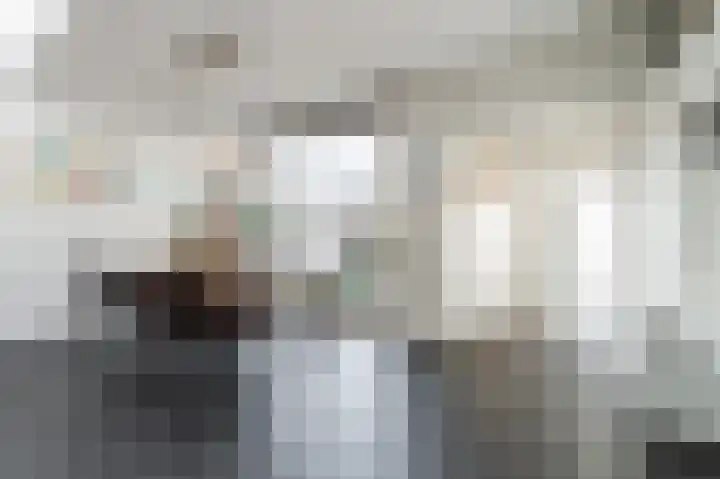 Paladijnstraat 25 Geldrop thumbnail 17