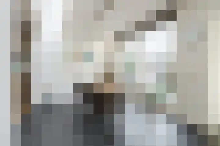 Paladijnstraat 25 Geldrop thumbnail 18