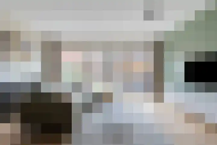 Paladijnstraat 25 Geldrop thumbnail 19