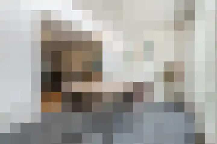 Paladijnstraat 25 Geldrop thumbnail 19