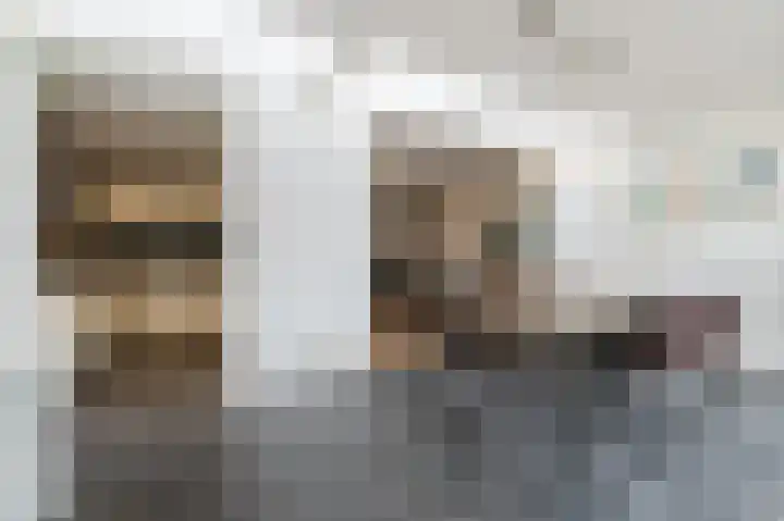Paladijnstraat 25 Geldrop thumbnail 20