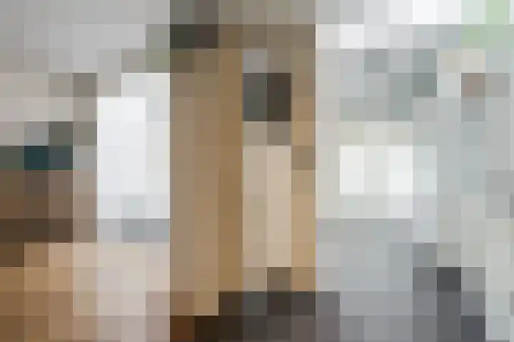 Paladijnstraat 25 Geldrop thumbnail 22