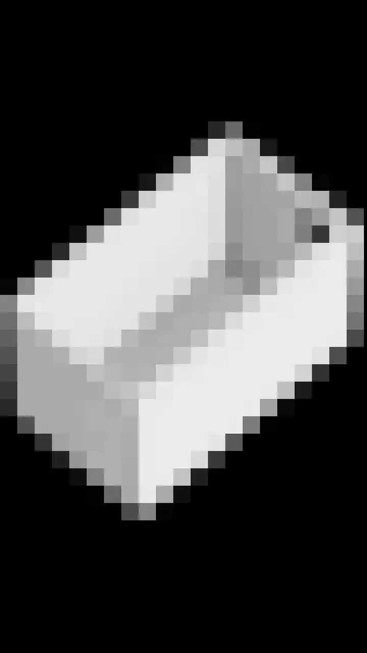 Paladijnstraat 25 Geldrop thumbnail 24