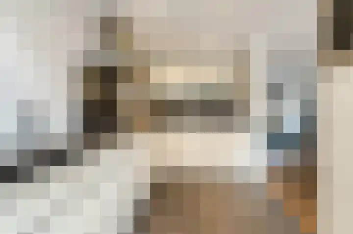 Paladijnstraat 25 Geldrop thumbnail 24
