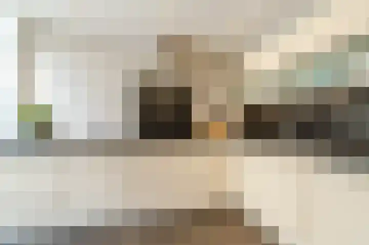 Paladijnstraat 25 Geldrop thumbnail 25