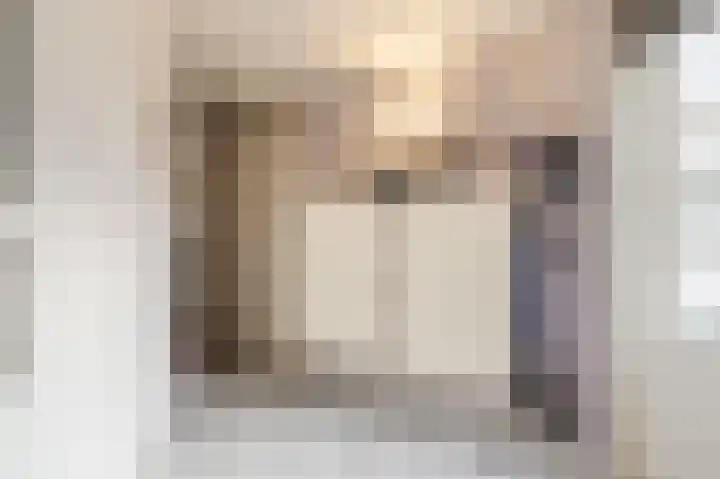 Paladijnstraat 25 Geldrop thumbnail 27