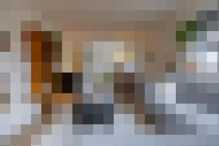 Paladijnstraat 25 Geldrop thumbnail 28