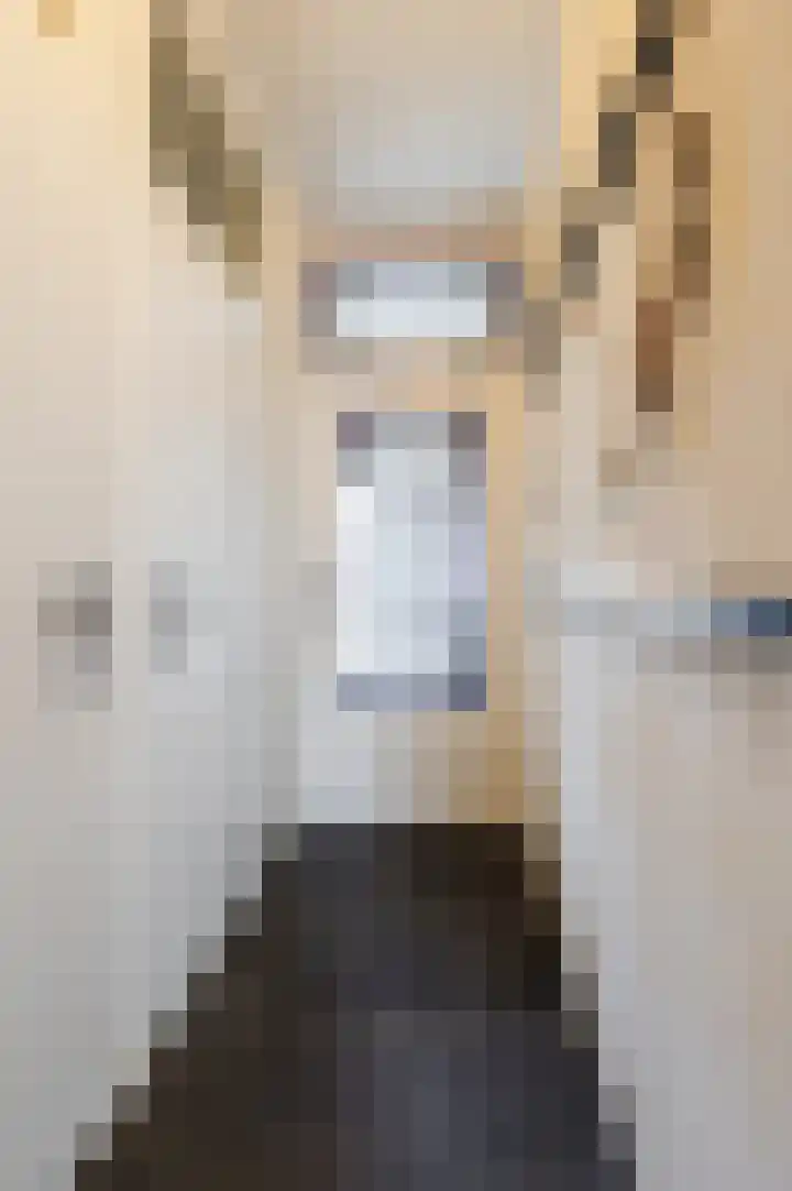 Paladijnstraat 25 Geldrop thumbnail 28